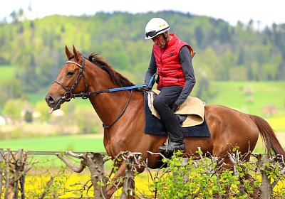 Landihof 2026 04 19 9N1A5054 Krakan