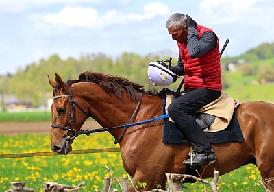 Landihof 2026 04 19 9N1A5087 Krakan