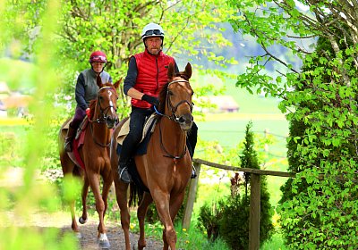 Landihof 2026 04 19 9N1A5102 Krakan