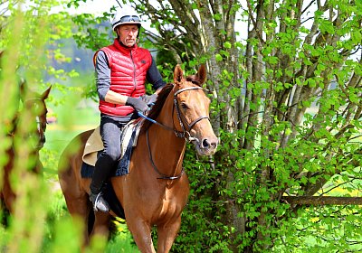 Landihof 2026 04 19 9N1A5125 Krakan