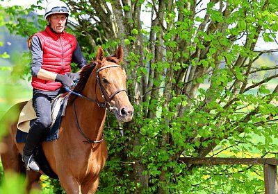 Landihof 2026 04 19 9N1A5126 Krakan