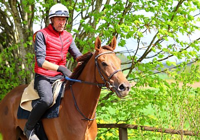 Landihof 2026 04 19 9N1A5133 Krakan