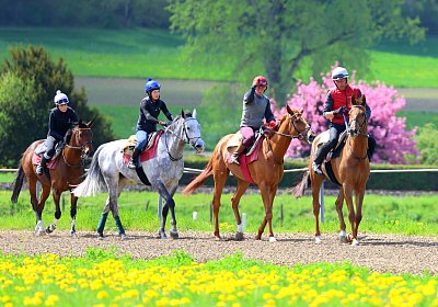 Landihof 2026 04 19 9N1A5366 Krakan