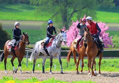 Landihof 2026 04 19 9N1A5371 Krakan