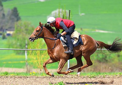 Landihof 2026 04 19 9N1A5621 Krakan