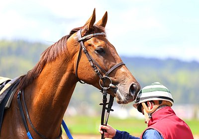 Landihof 2026 04 19 9N1A5740 Krakan