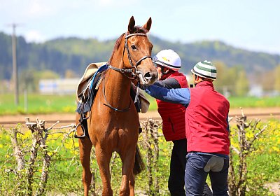 Landihof 2026 04 19 9N1A5751 Krakan