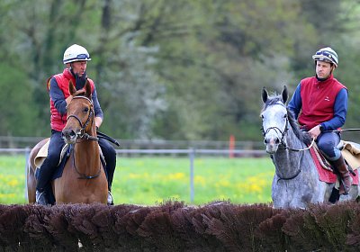 Landihof 2026 04 19 9N1A5770 Krakan