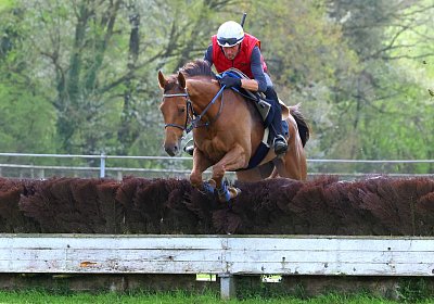 Landihof 2026 04 19 9N1A5818 Krakan