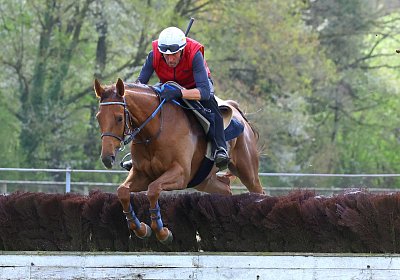 Landihof 2026 04 19 9N1A5819 Krakan