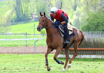 Landihof 2026 04 19 9N1A5840 Krakan