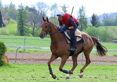 Landihof 2026 04 19 9N1A5854 Krakan