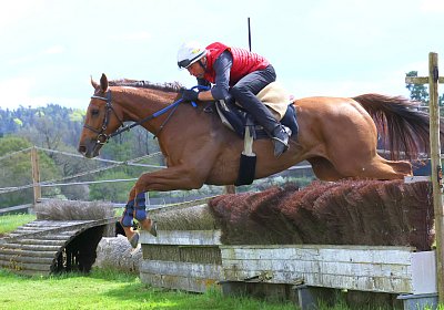 Landihof 2026 04 19 9N1A5878 Krakan