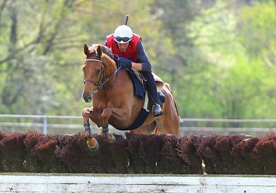 Landihof 2026 04 19 9N1A6048 Krakan