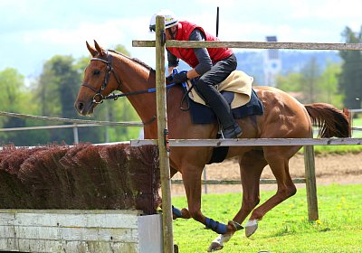 Landihof 2026 04 19 9N1A6081 Krakan