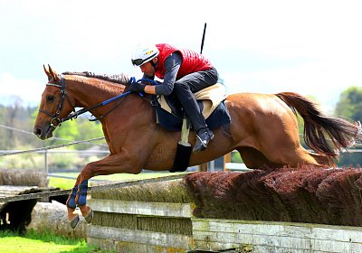 Landihof 2026 04 19 9N1A6086 Krakan