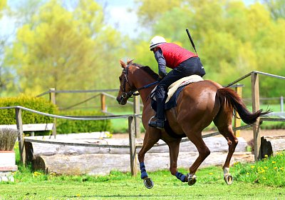 Landihof 2026 04 19 9N1A6111 Krakan