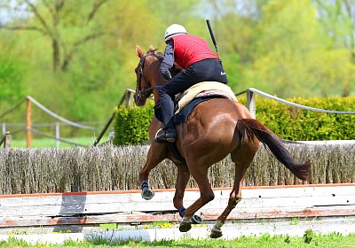Landihof 2026 04 19 9N1A6124 Krakan