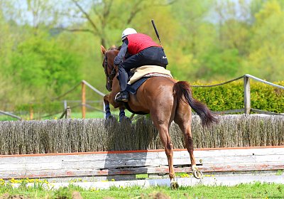 Landihof 2026 04 19 9N1A6127 Krakan