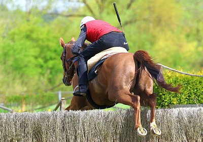 Landihof 2026 04 19 9N1A6129 Krakan