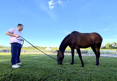 HARPER und MIDNIGHT in Dielsdorf (14.6.2026)