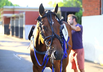 Enghien 2026 06 26 9N1A4302 La Formidable