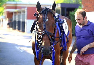 Enghien 2026 06 26 9N1A4315 La Formidable