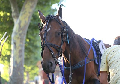 Enghien 2026 06 26 9N1A4334 La Formidable