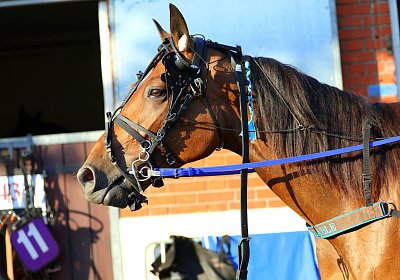 Enghien 2026 06 26 9N1A4423 La Formidable