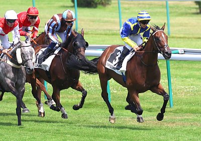 Compiegne 2026 07 10 9N1A7579 Yes Zara