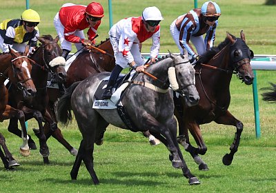 Compiegne 2026 07 10 9N1A7597 Yes Zara