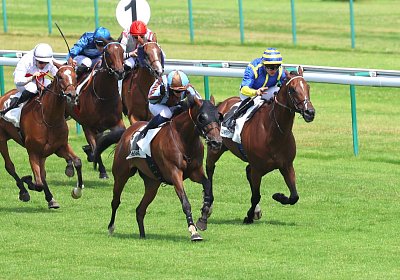 Compiegne 2026 07 10 9N1A7726 Yes Zara