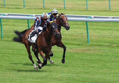Compiegne 2026 07 10 9N1A7748 Yes Zara