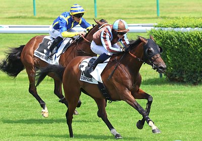 Compiegne 2026 07 10 9N1A7775 Yes Zara