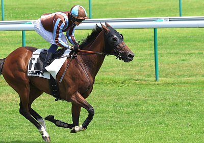 Compiegne 2026 07 10 9N1A7793 Yes Zara