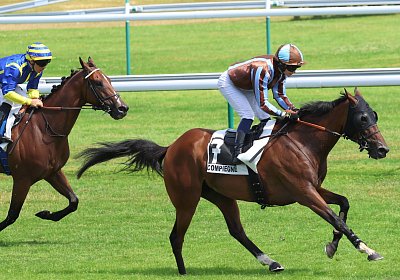 Compiegne 2026 07 10 9N1A7795 Yes Zara