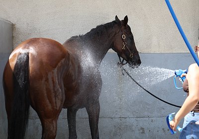 Compiegne 2026 07 10 C 9N1A7927 Yes Zara