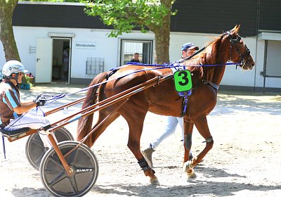 Gelsenkirchen 2026 07 12 9N1A8064 Miracle of Love