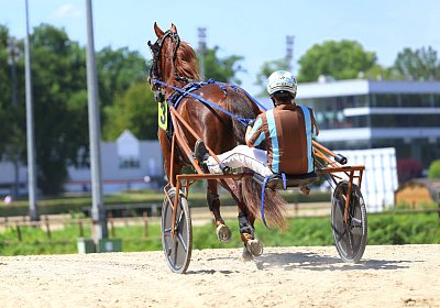 Gelsenkirchen 2026 07 12 9N1A8075 Miracle of Love