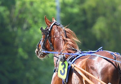 Gelsenkirchen 2026 07 12 9N1A8080 Miracle of Love