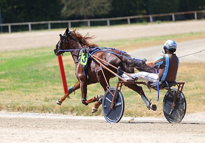 Gelsenkirchen 2026 07 12 9N1A8136 Miracle of Love