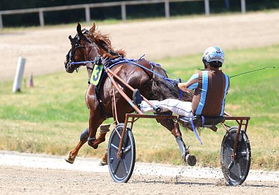 Gelsenkirchen 2026 07 12 9N1A8143 Miracle of Love