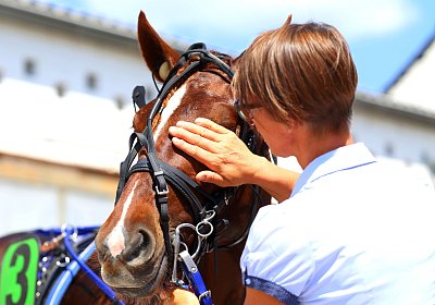 Gelsenkirchen 2026 07 12 9N1A8296 Miracle of Love