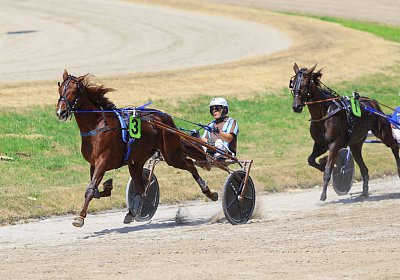 Gelsenkirchen 2026 07 12 9N1A8450 Miracle of Love