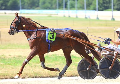 Gelsenkirchen 2026 07 12 9N1A8573 Miracle of Love