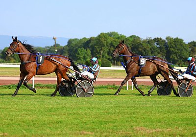 Avenches 2026 07 30 9N1A1444 Noon Harper