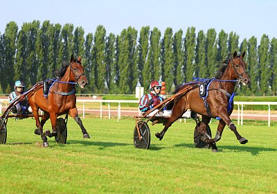 Avenches 2026 07 30 9N1A1482 Harper Noon