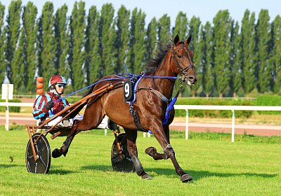 Avenches 2026 07 30 9N1A1483 Harper