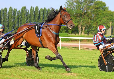 Avenches 2026 07 30 9N1A1493 Noon
