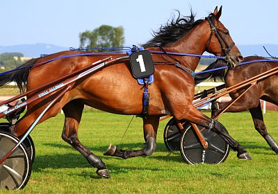 Avenches 2026 07 30 9N1A1506 Noon